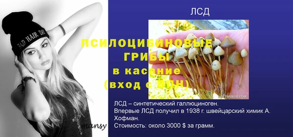 mix Арсеньев