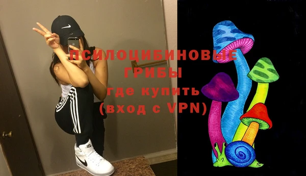 дживик Аркадак