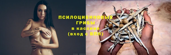 mix Арсеньев