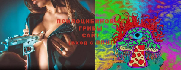 тгк Армянск