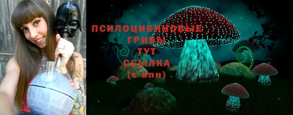 дживик Аркадак