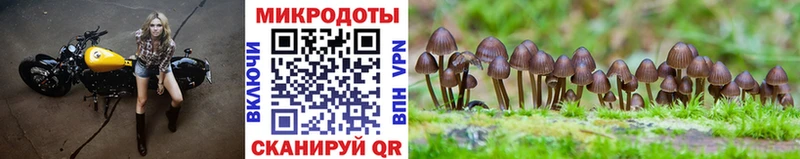 Псилоцибиновые грибы мухоморы  Пыть-Ях 